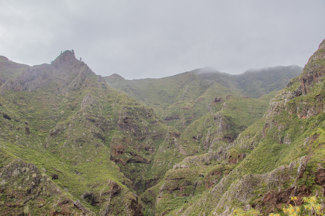Die Landschaft um uns herum 
