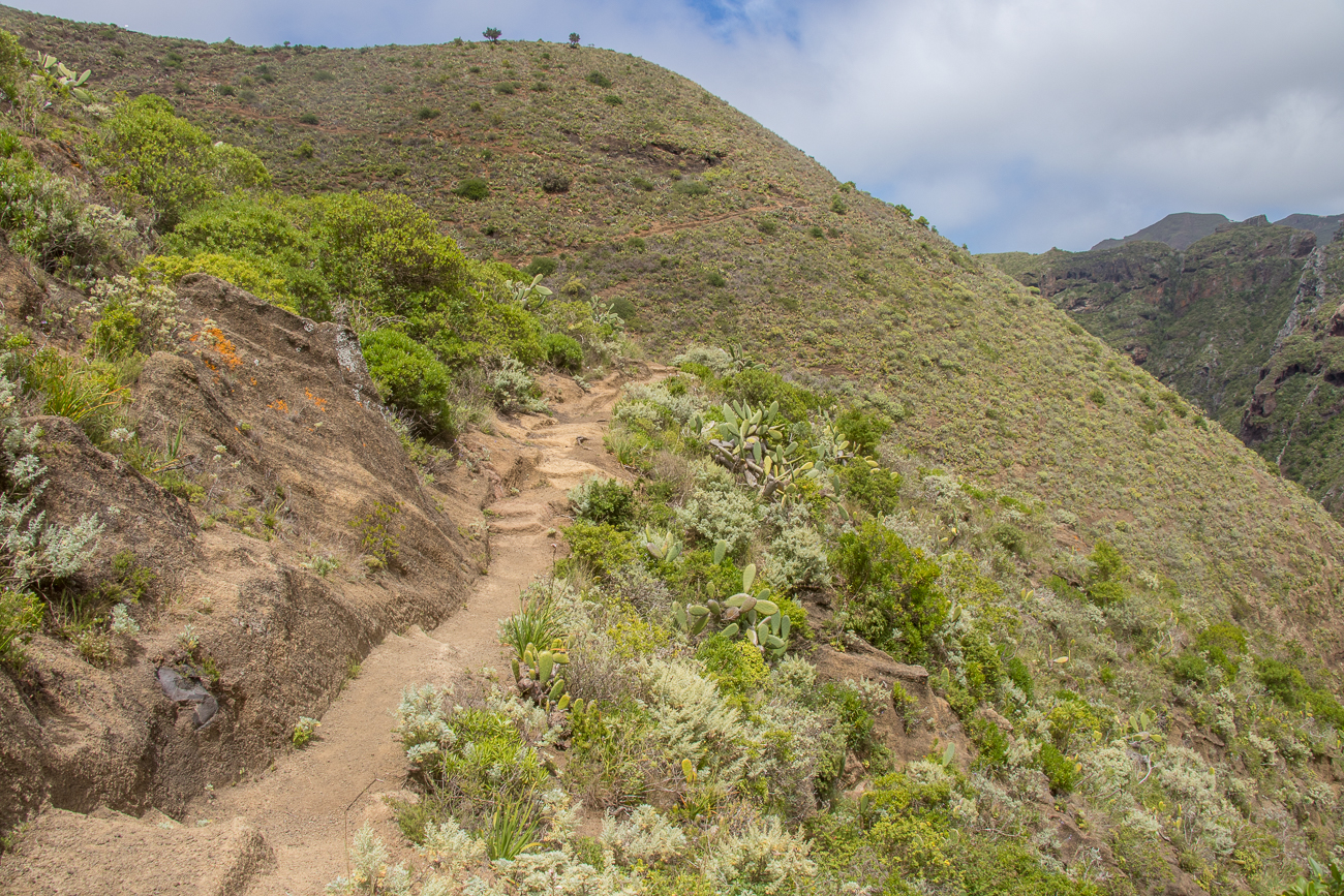 Den Berg müssen wir zum Abschluss noch hinauf 
