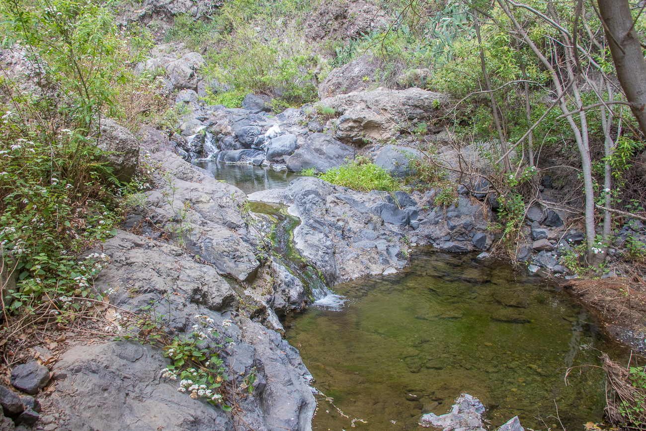 Hier sammelt sich das Wasser zu kleinen Teichen ... 