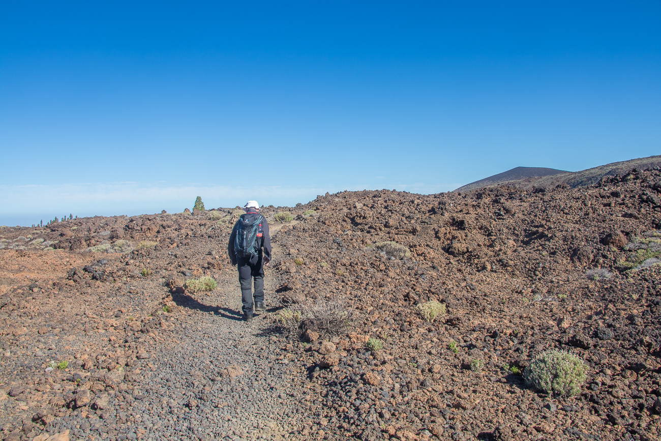 Am Anfang ist der Weg noch harmlos 
