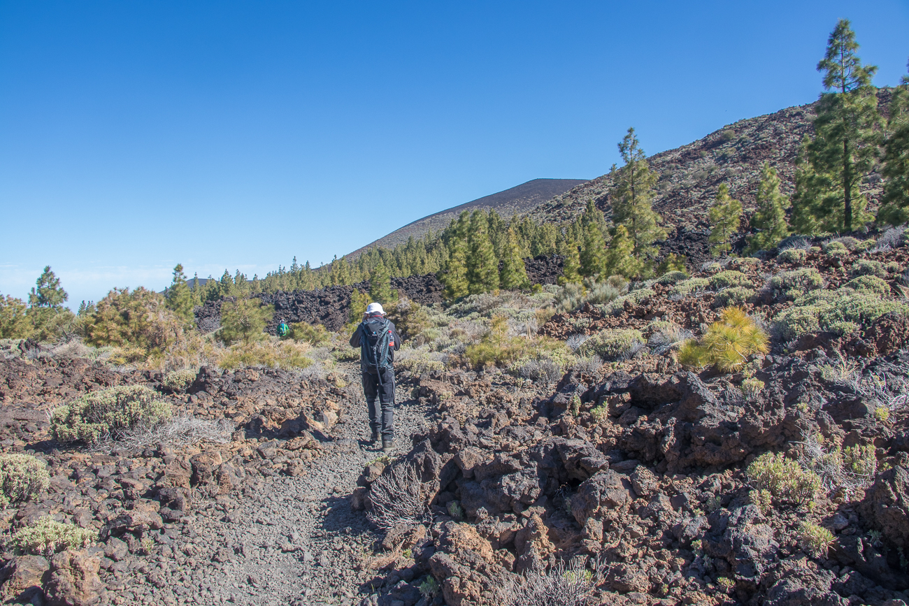 Wir laufen durch Steine ... 