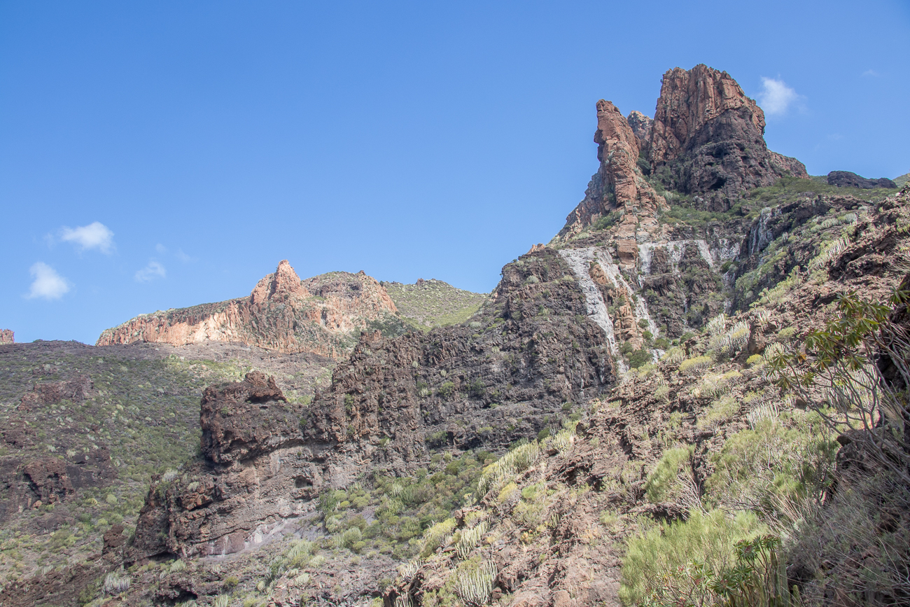 Die Berge um uns herum sind u. a. mit Wolfsmilchgewächsen übersät 
