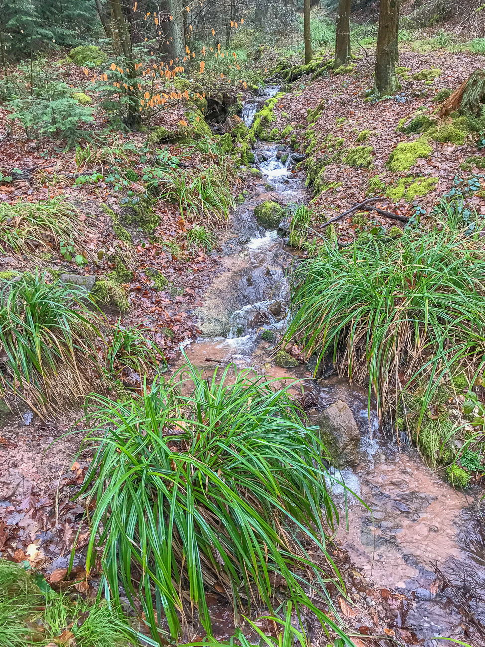 Die Bächlein werden durch den Regen gut gefüllt