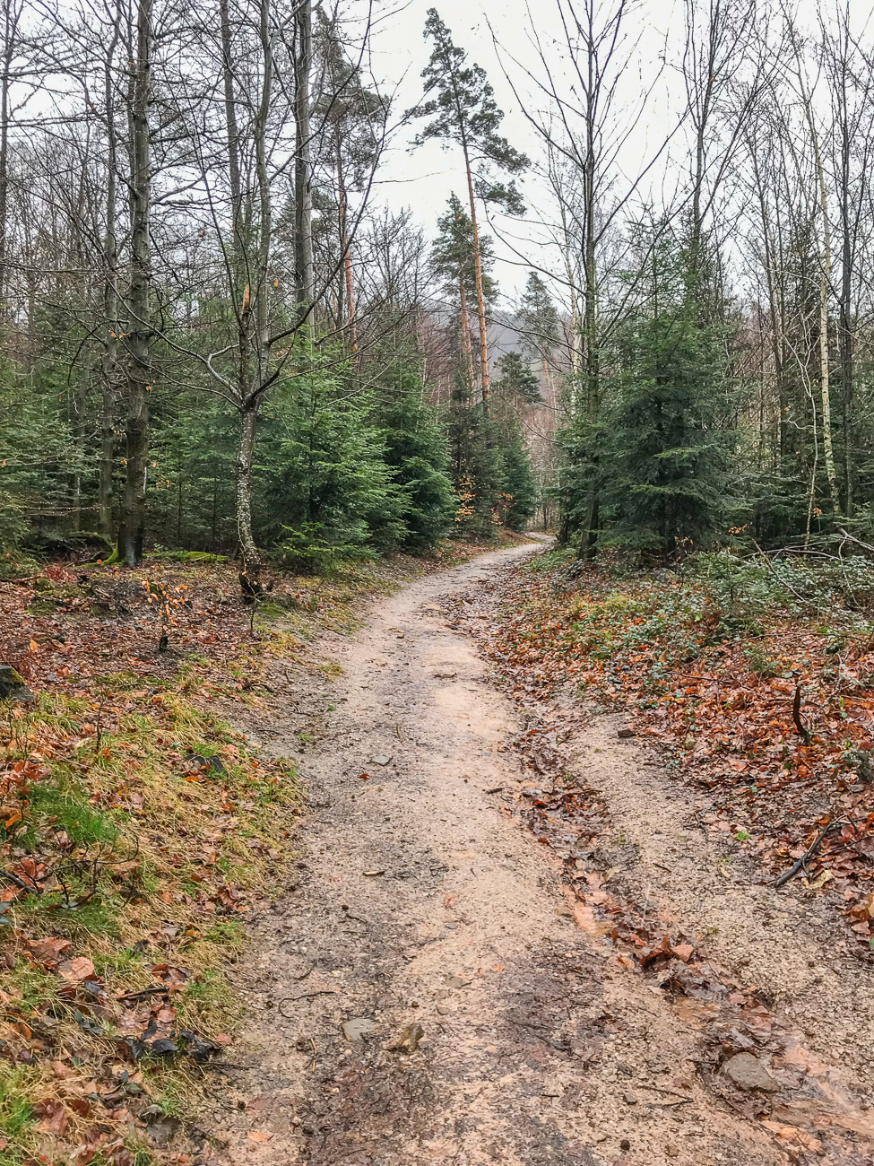 Etwas schlammig, der Weg