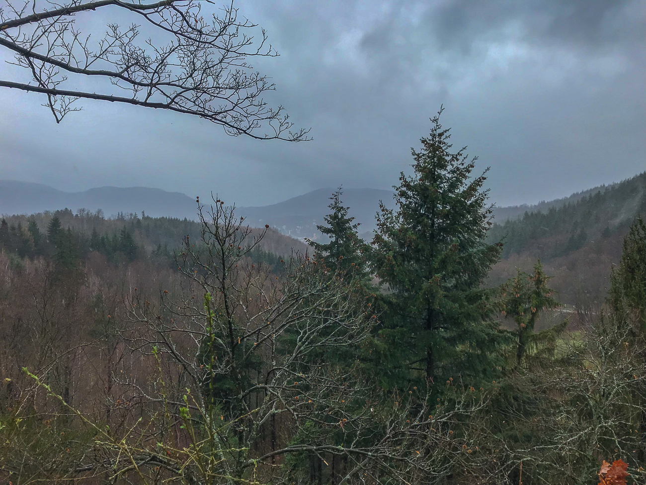 Einige Wanderungen die wir 2019 in Baden-Württemberg unternommen haben