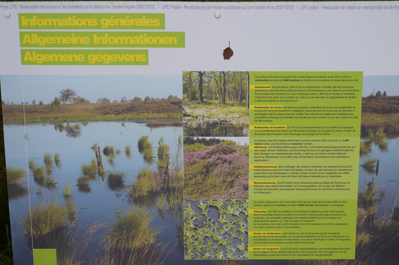 Der Wanderweg führt durch ein Moorgebiet mit Heidekräutern und Waldstücken
