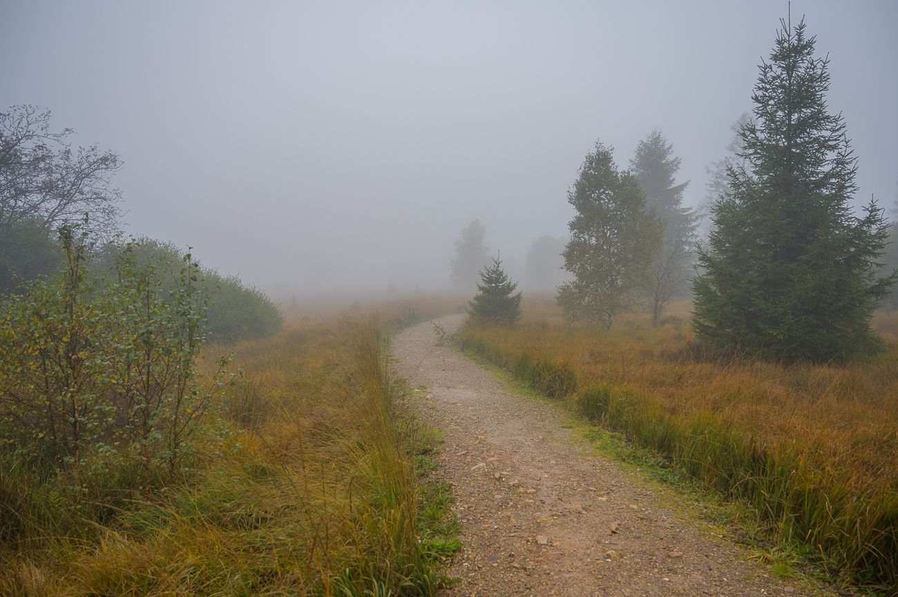 Wandern in Belgien