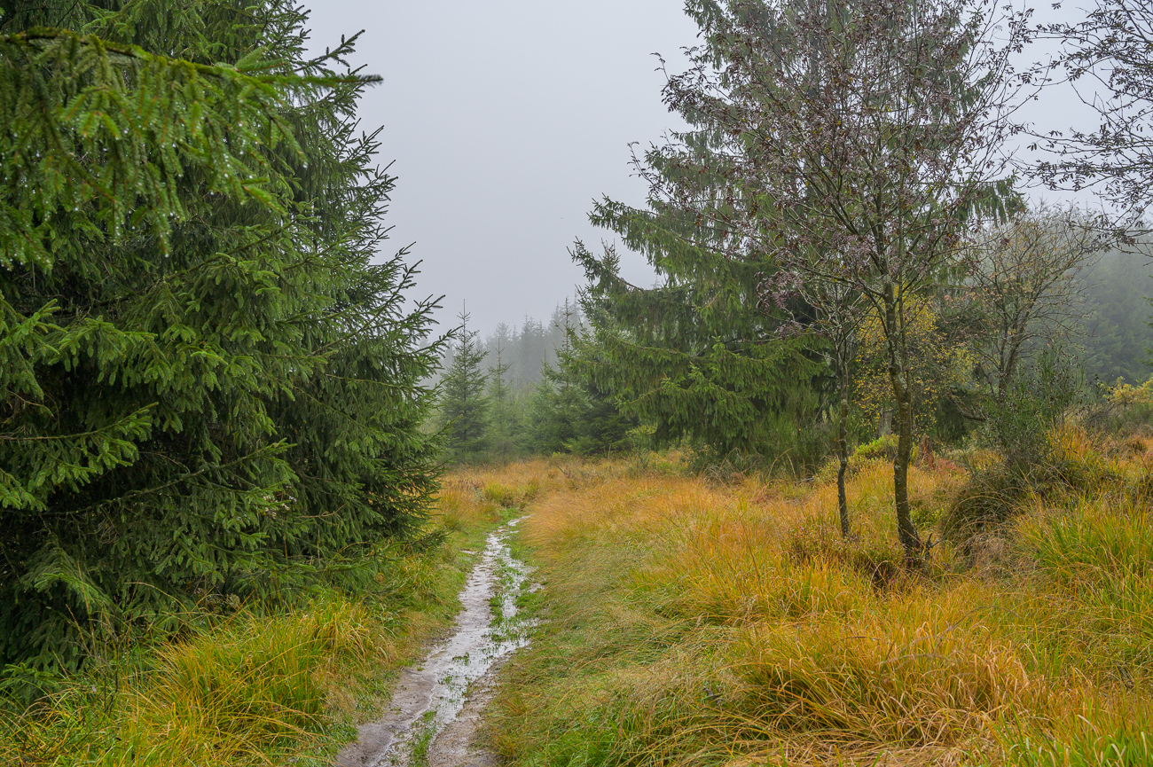 Der Weg wird schlammiger ...
