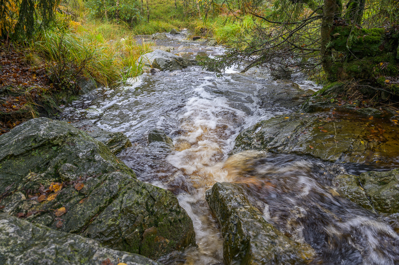Durch den Regen angeschwollener Bach