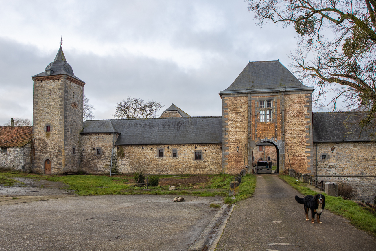 ... dort stützt sich der Wachhund auf uns ...