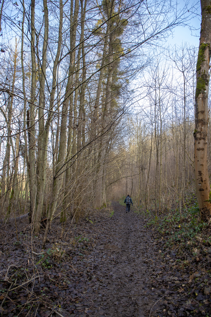 Ab hier werden die Wanderschuhe immer schlammiger