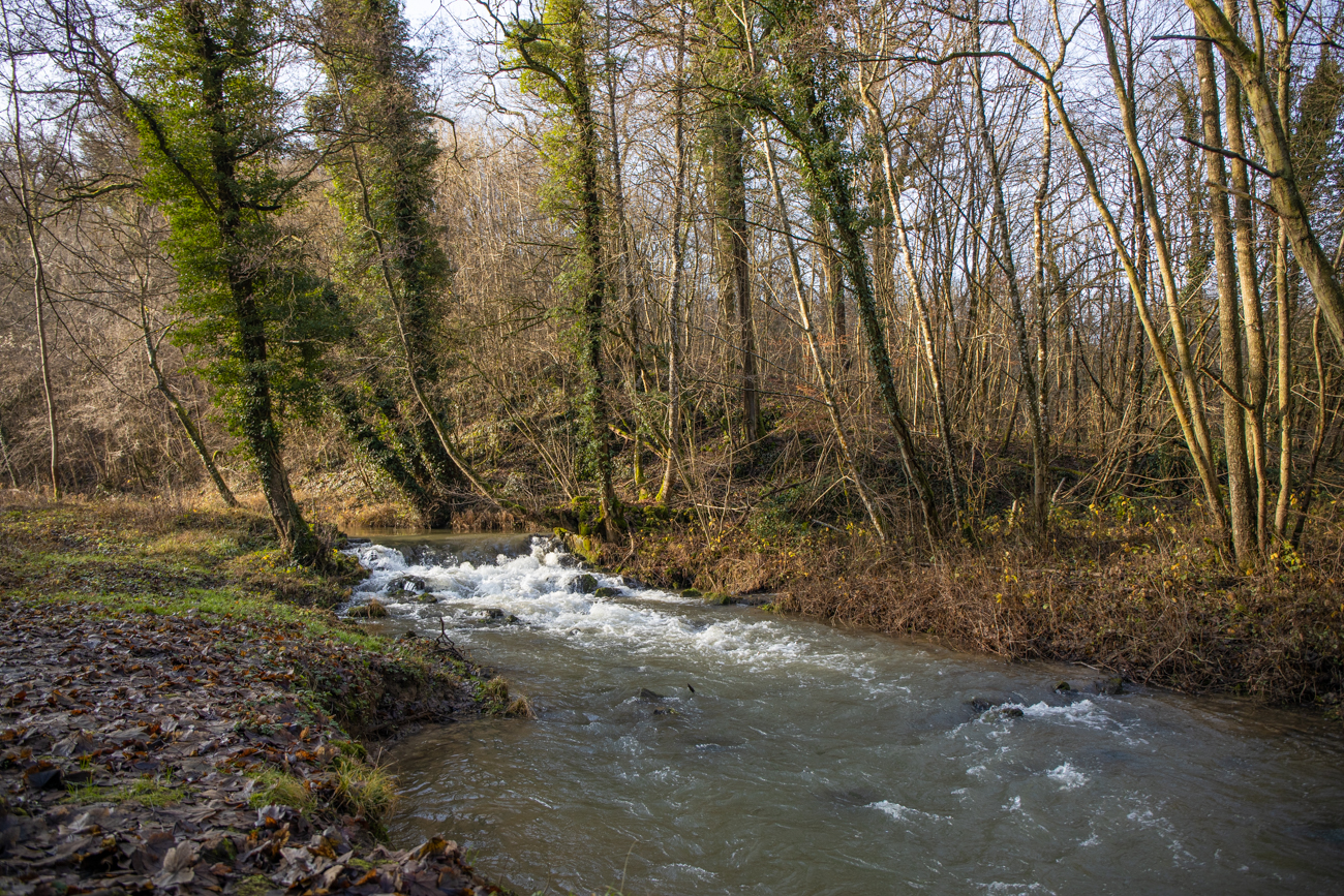 Nochmal das Flüsschen Flavion