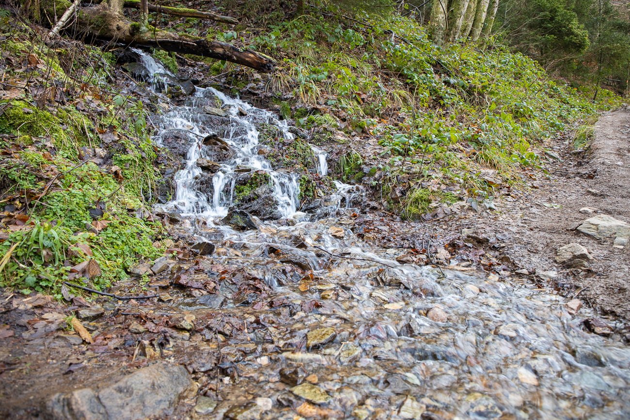 Ein Bach quert den Weg