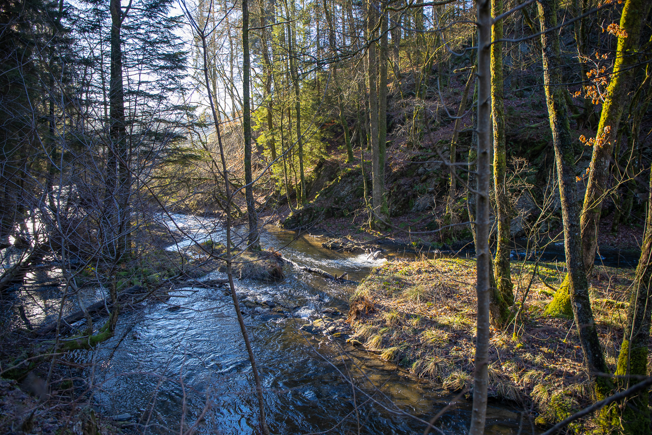 Der Weg führt entlang des Baches