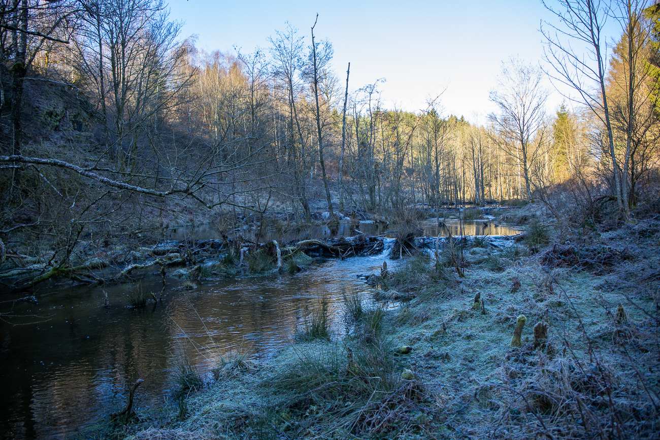 Im Schatten ist es noch recht frisch ...