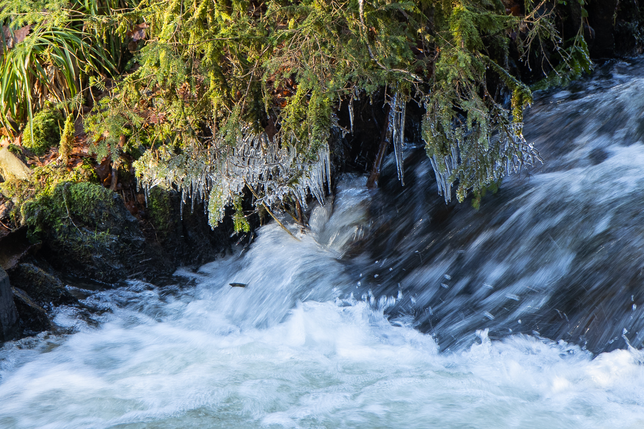 ... Reif und Eis sind noch nicht geschmolzen