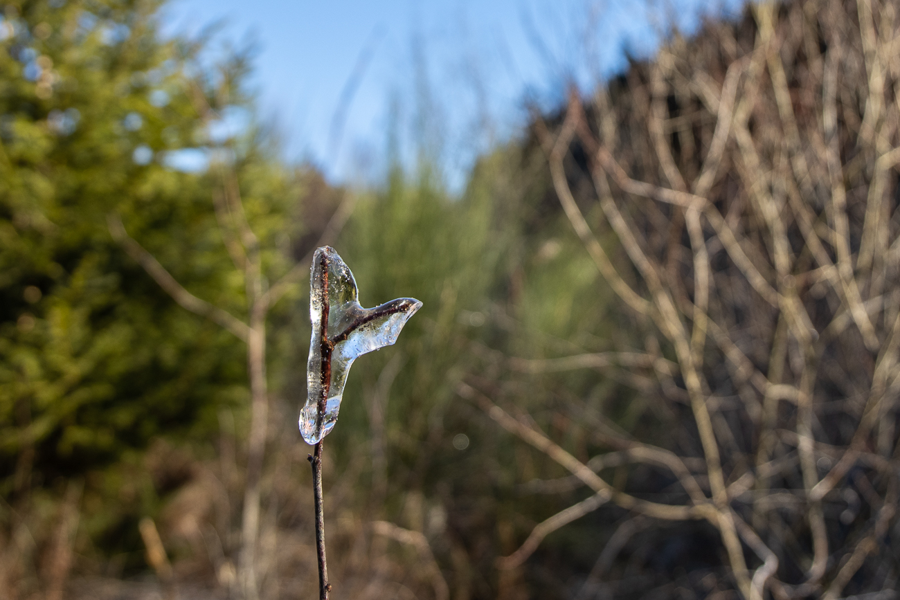 Warm ist es deswegen aber nicht