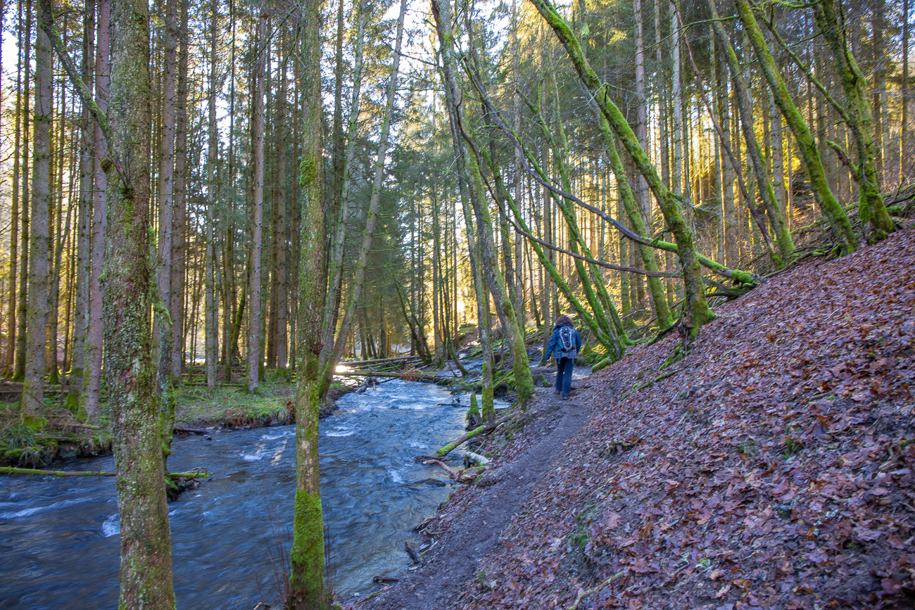Weg entlang des Baches