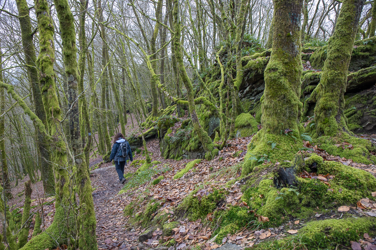 ... zeugt von regenreicher Landschaft