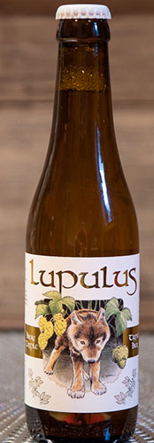 Lupulus Blonde
