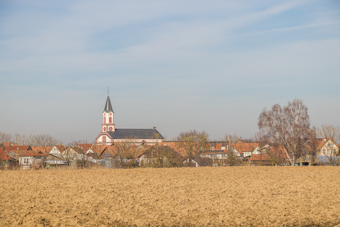 Die Kirche von Neupotz