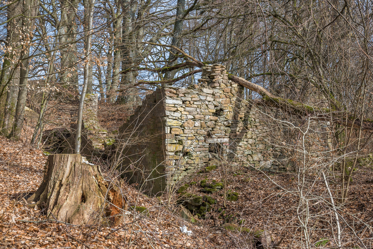 Ruine im Wald