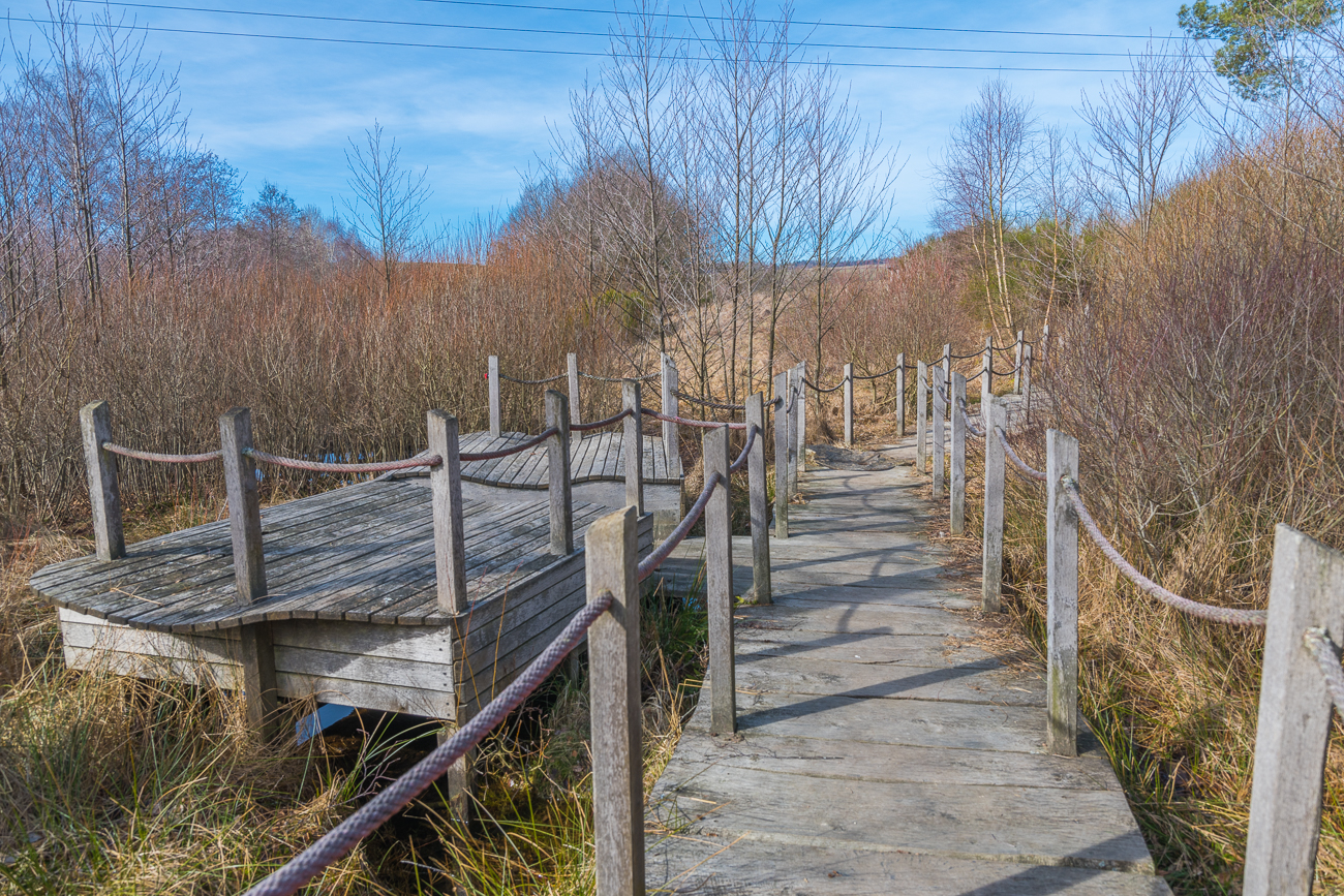 Bohlenweg über das Moor
