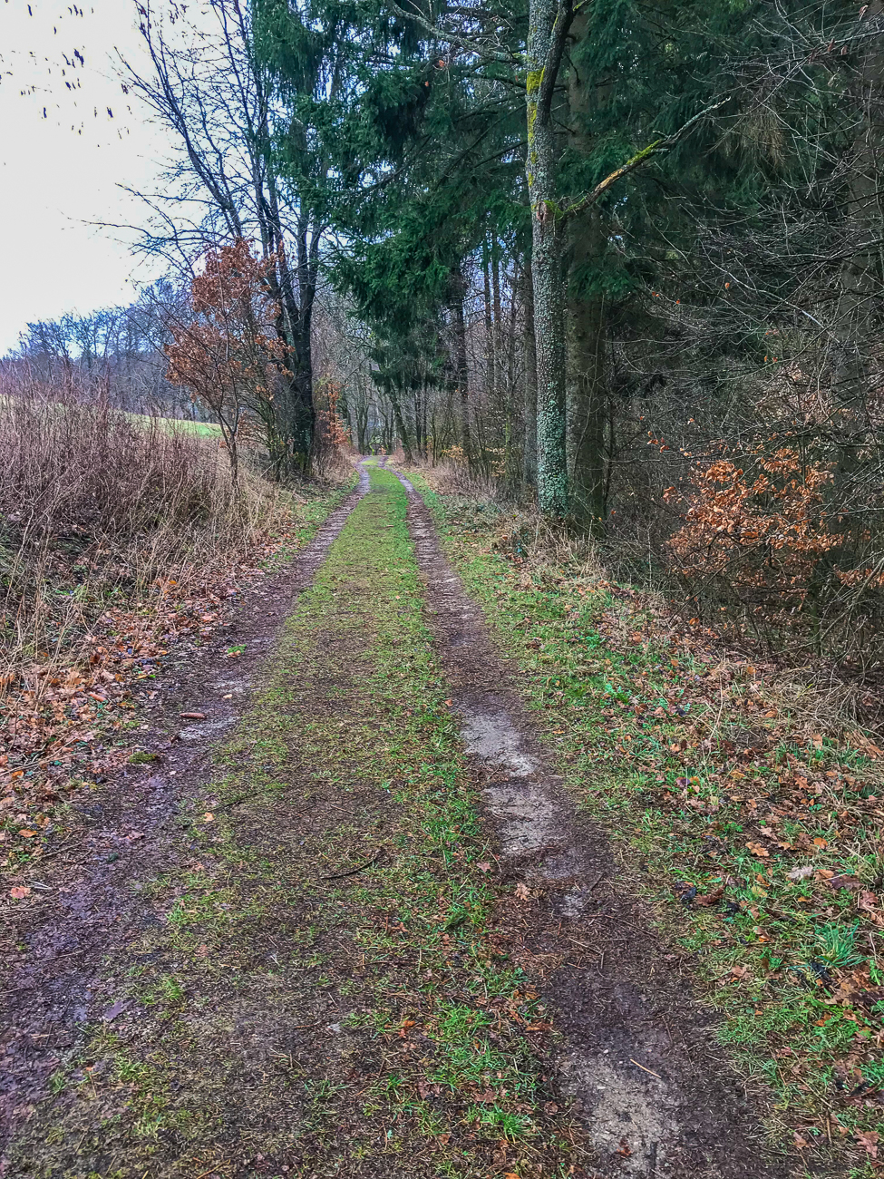 Leider sind die Wege wetterbedingt ziemlich feucht