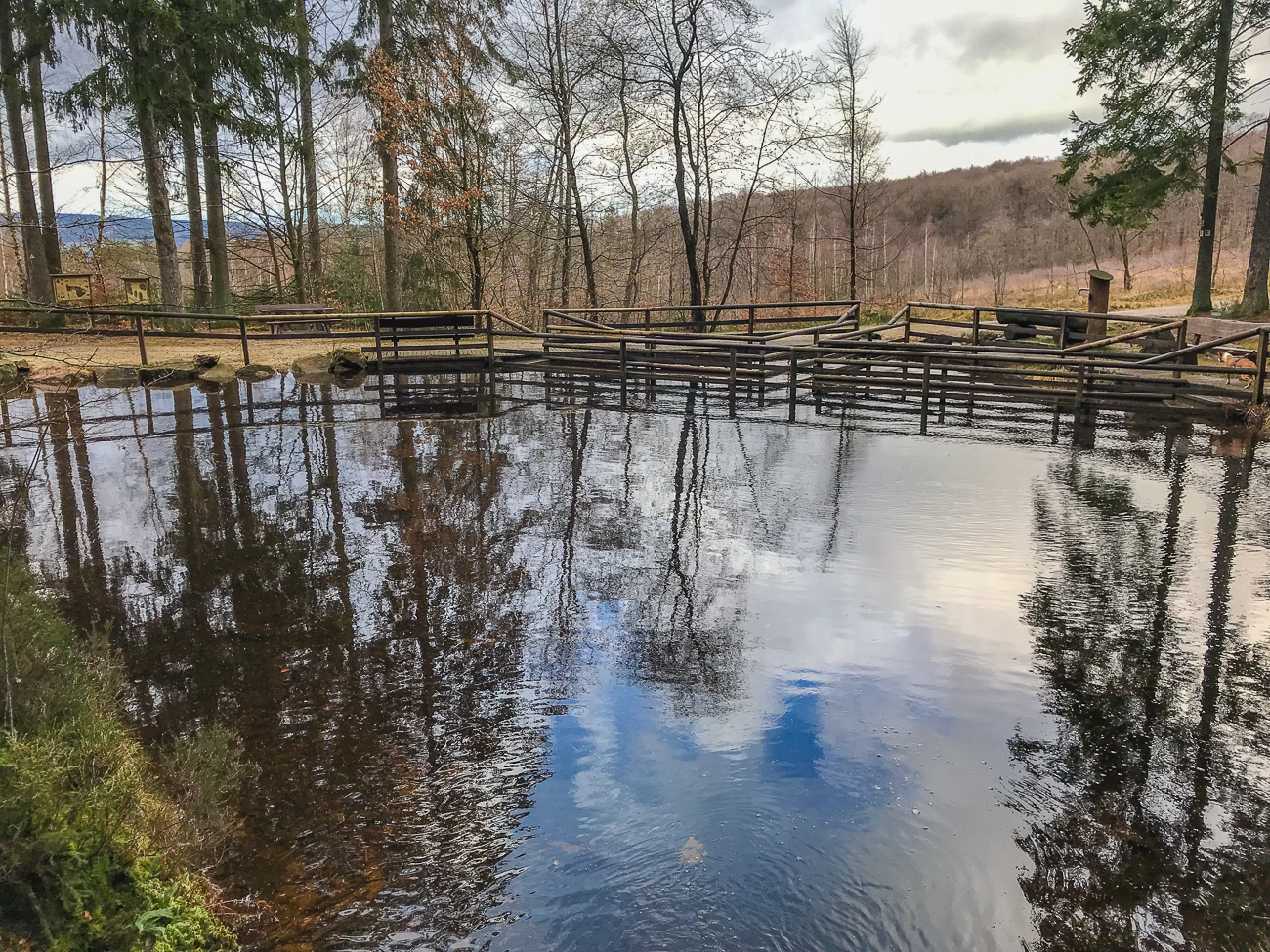 Am Nixenweiher