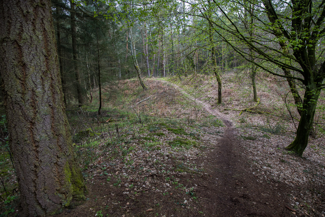 Einige Kilometer weit führt der Weg über die alten Stellungen