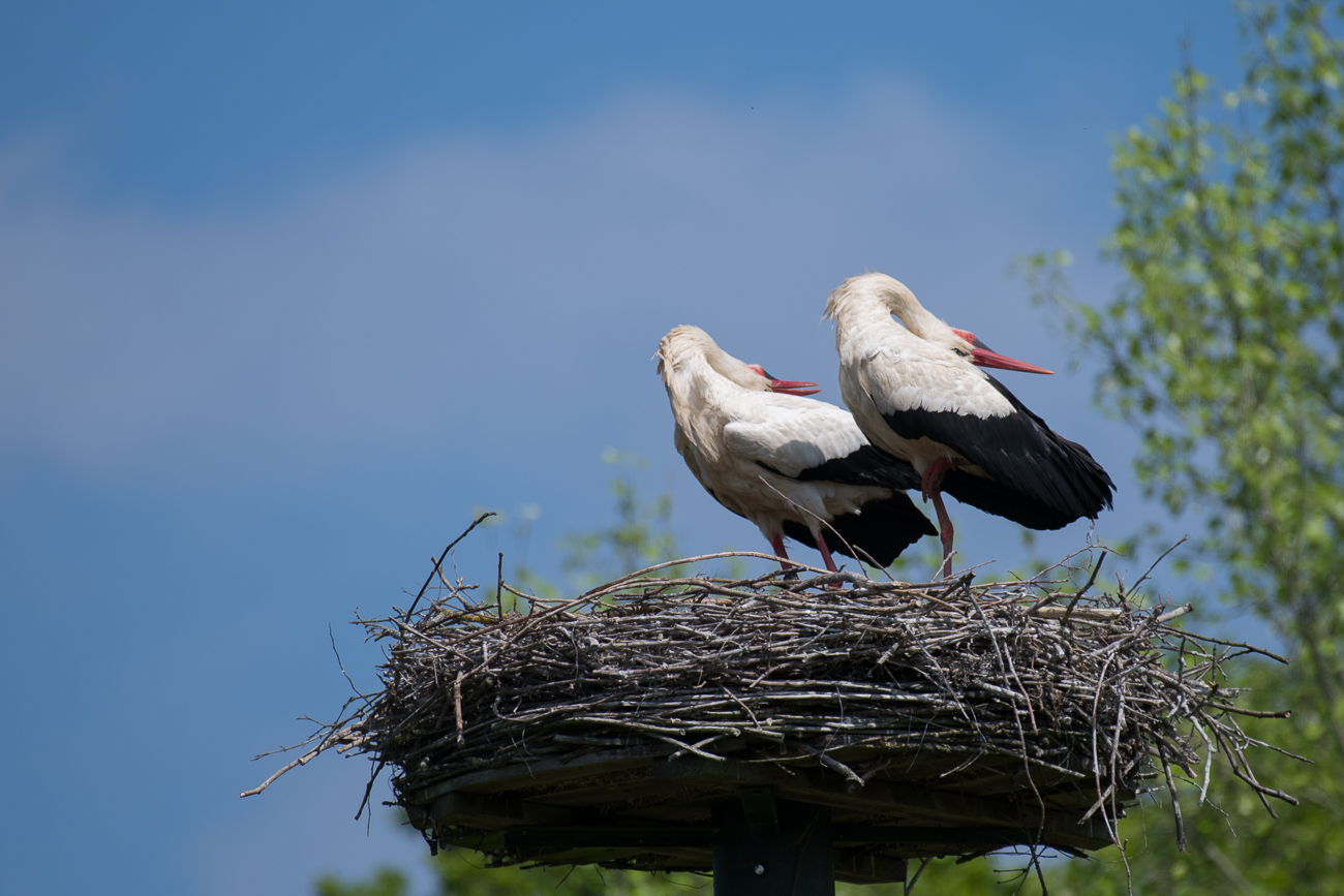 ... und mal zu zweit