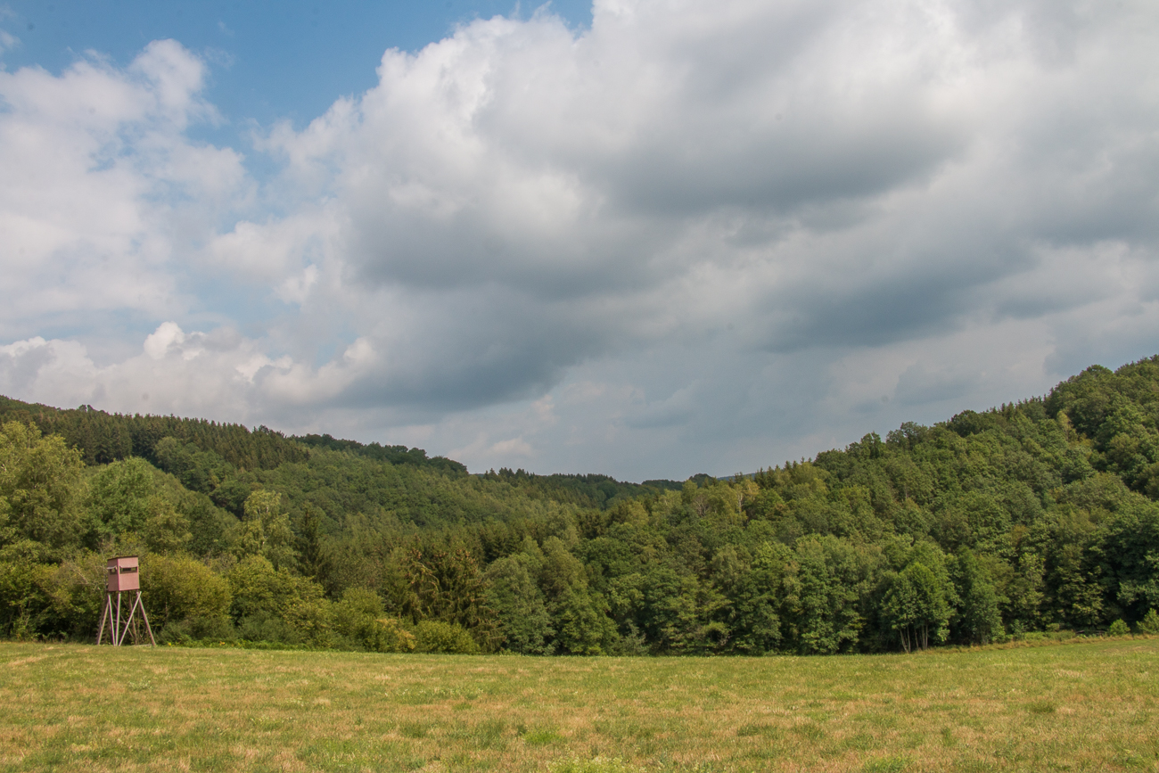 Hochsitz am Waldrand