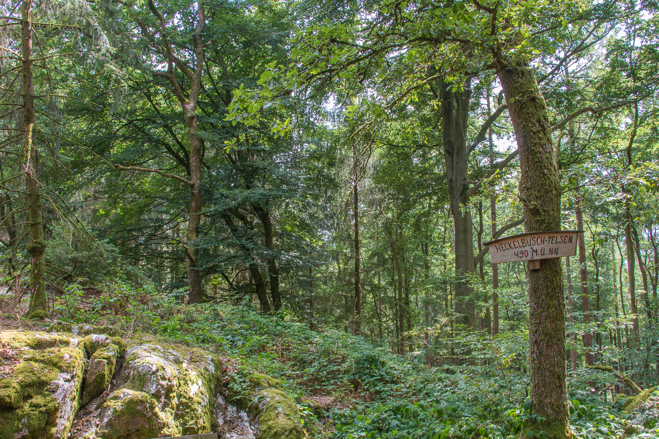 Am Heckelbusch-Felsen