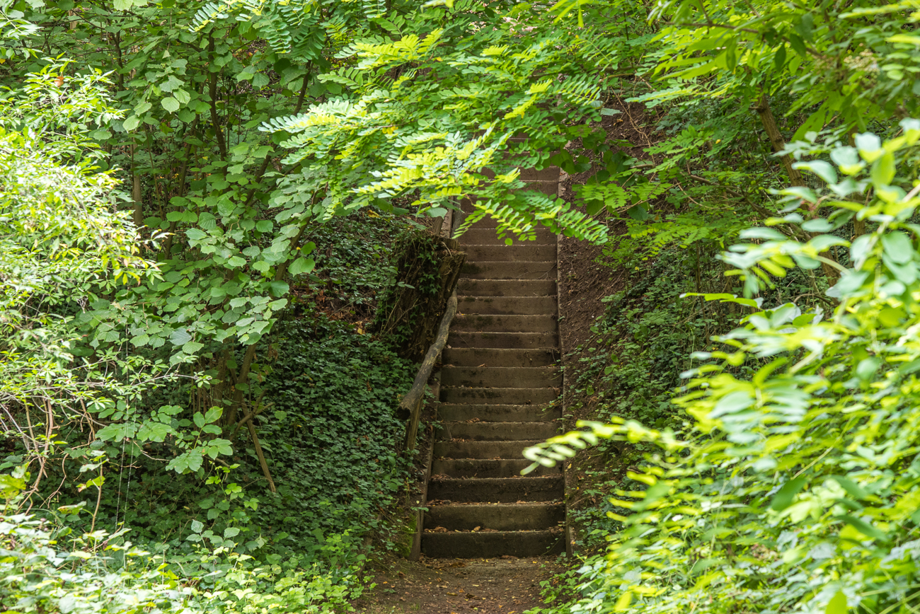 Über diese Treppe geht es zum Altrhein hinunter