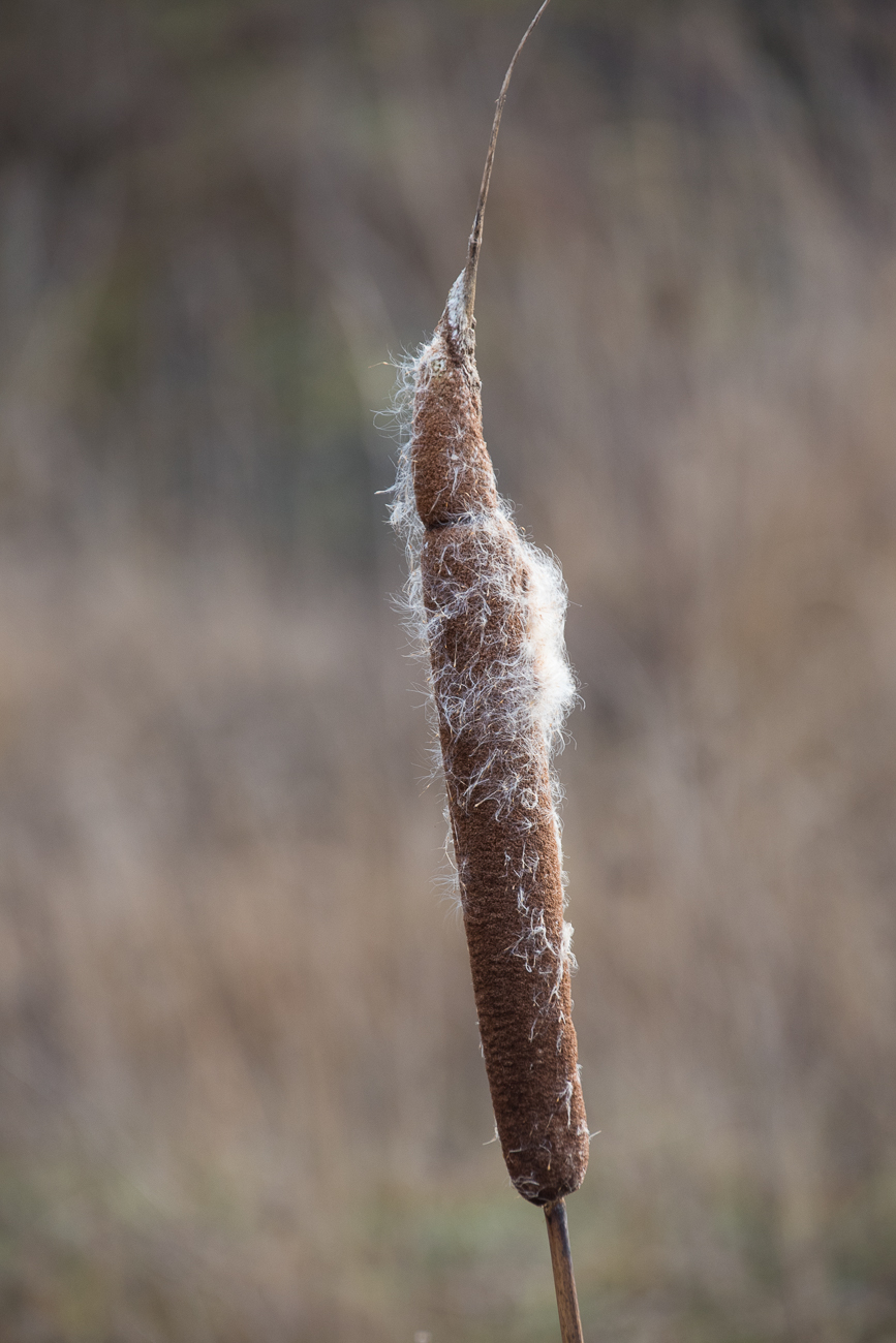 Wieder an den Wassergärten zurück