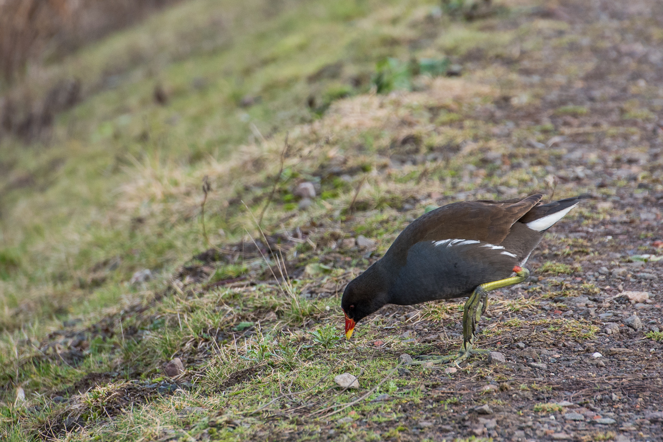 ... denen es hier gut gefällt