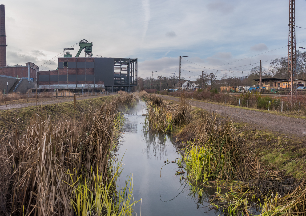 Blick über den Wassergarten zur Grube Reden