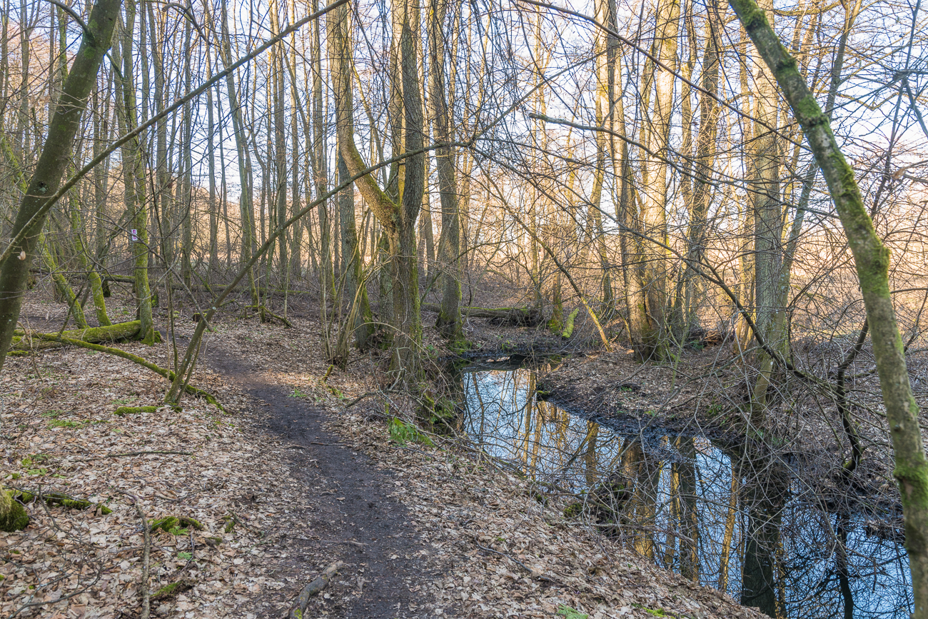 Weg am Losheimer Bach entlang