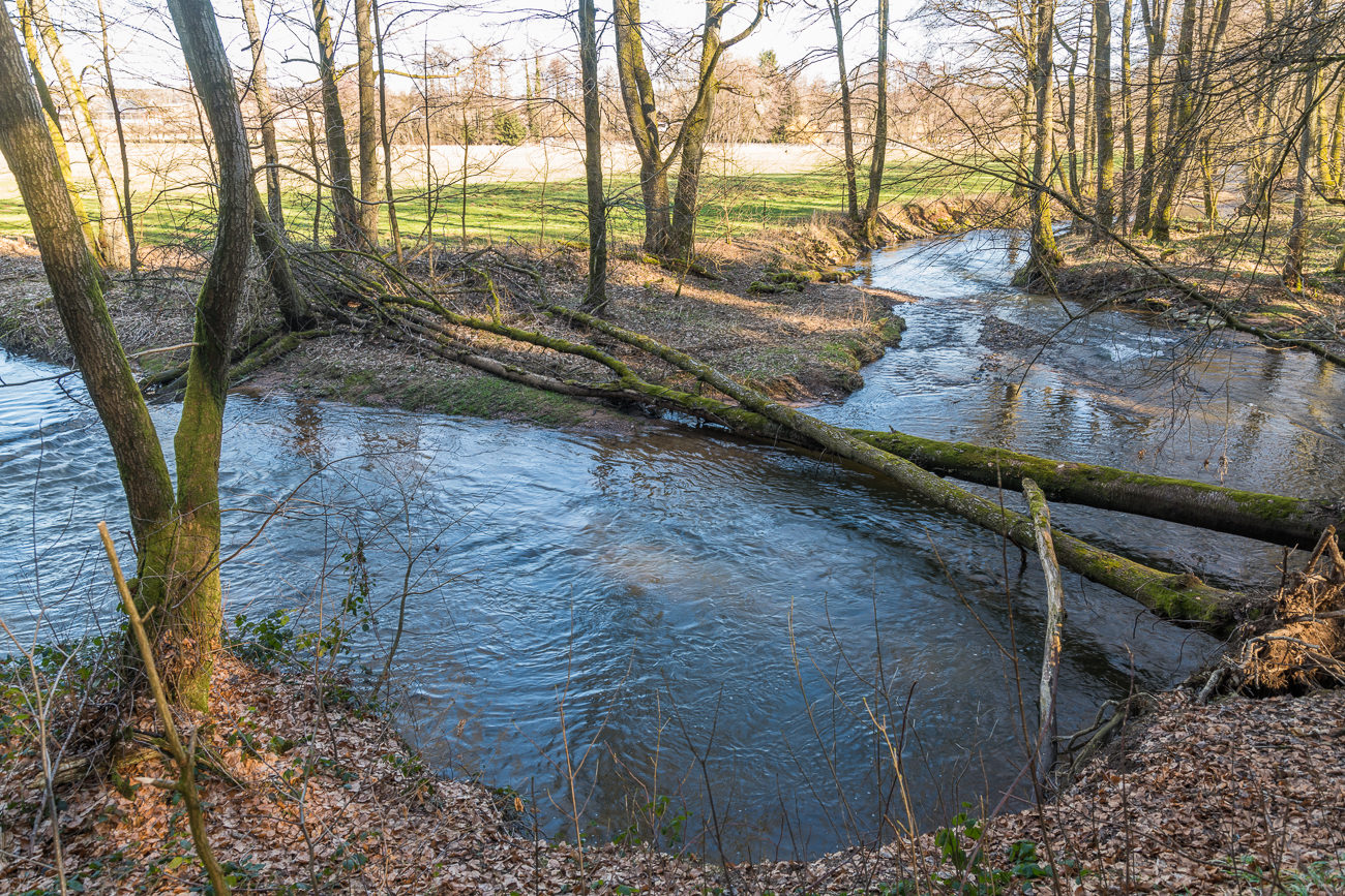 Schleife am Losheimer Bach