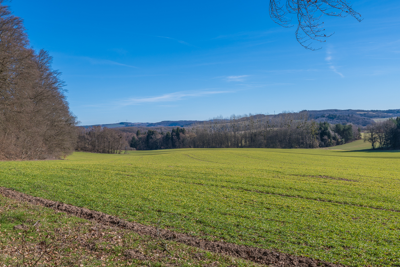 Herrliches Grün nach der tristen Jahreszeit