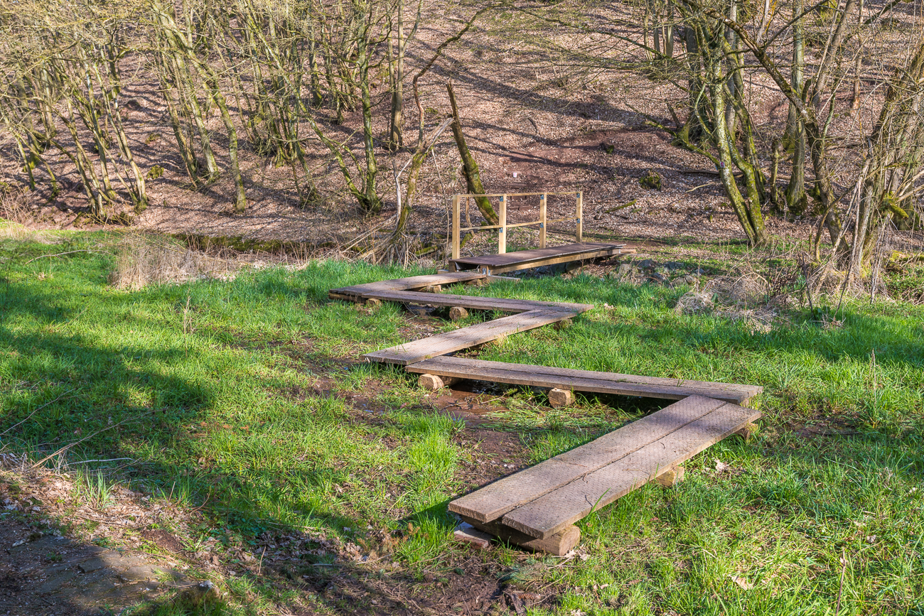 Bohlenweg über den Sumpf