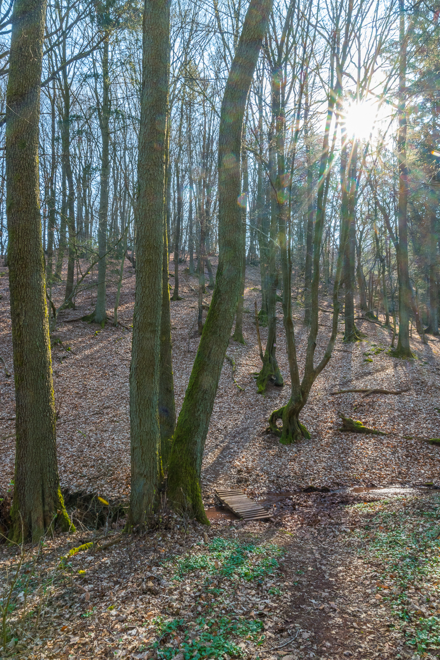 Brückchen über Bächlein I