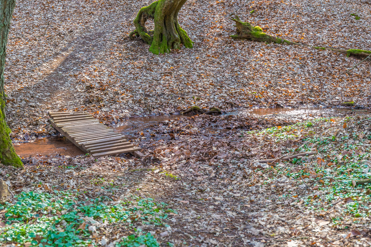 Brückchen über Bächlein II