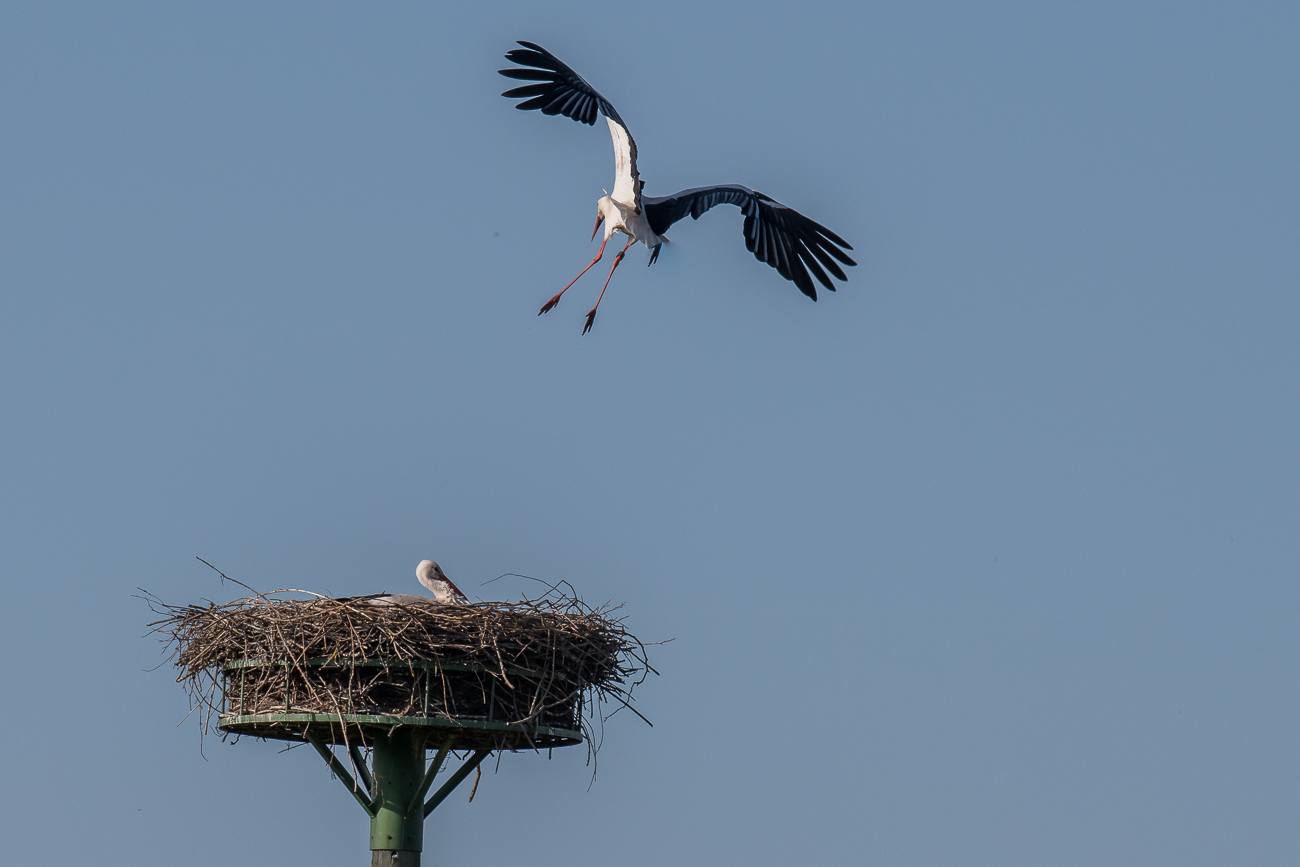 Der Landeplatz wird anvisiert