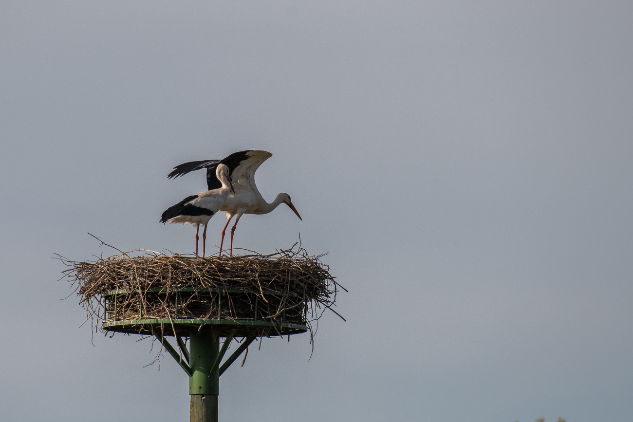 Fertigmachen zum Start