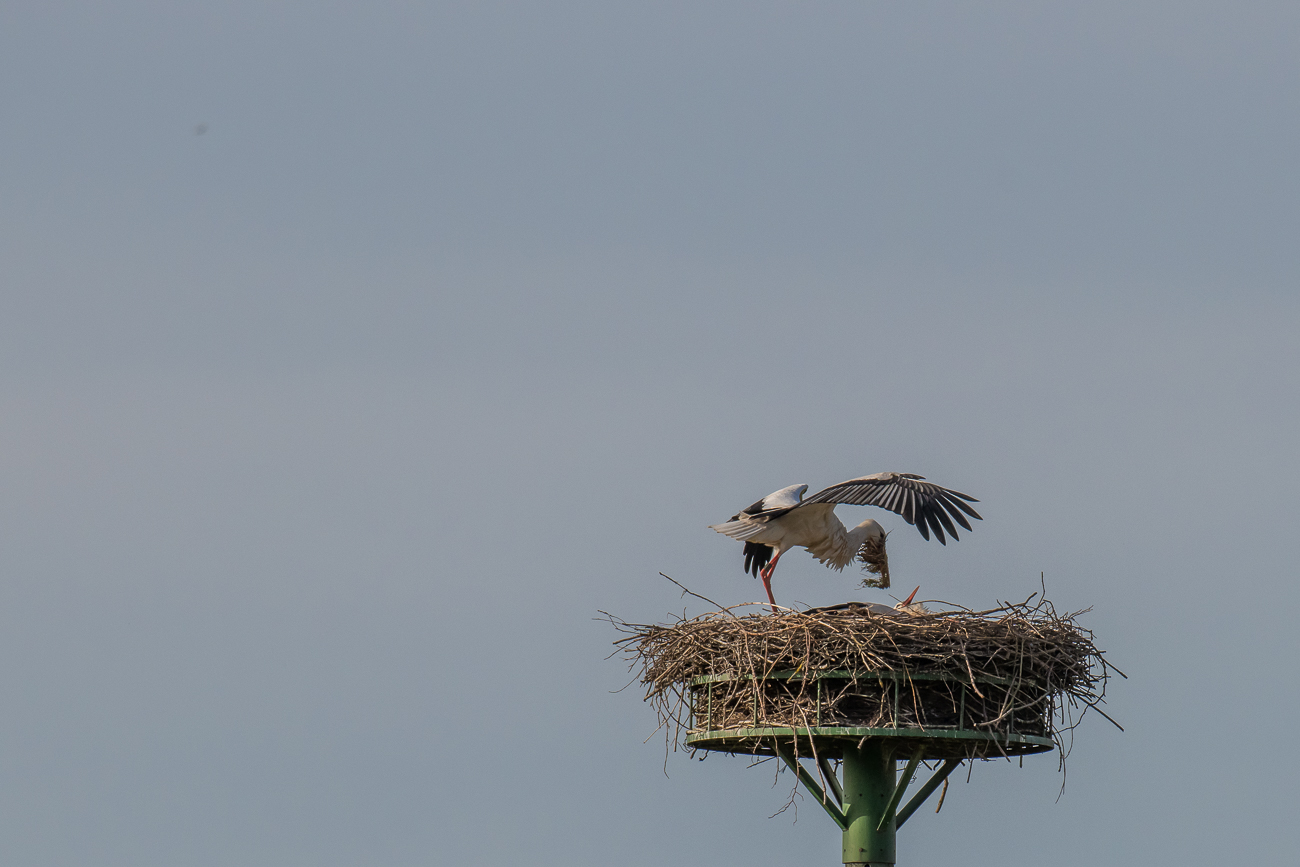 Und schon klingelt der Lieferservice ;-)