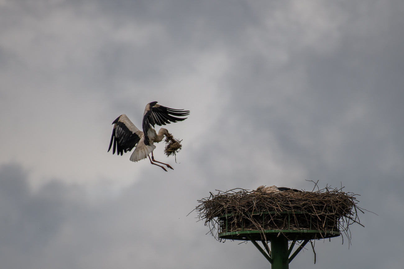 Landeklappen ausfahren