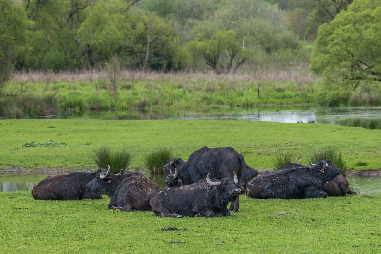 ... da ist es gerade kuschelig