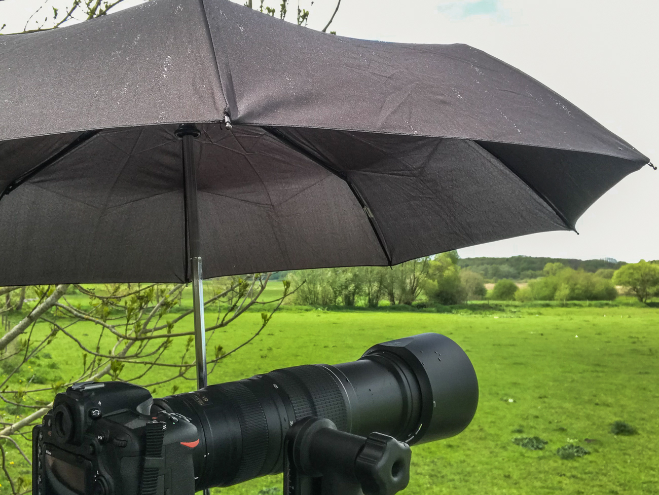 Biotop Beeden: leider regnete es immer wieder mal :-(