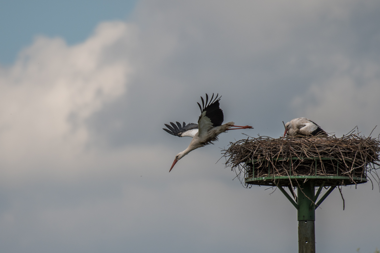 Ab geht es in die Tiefe ...